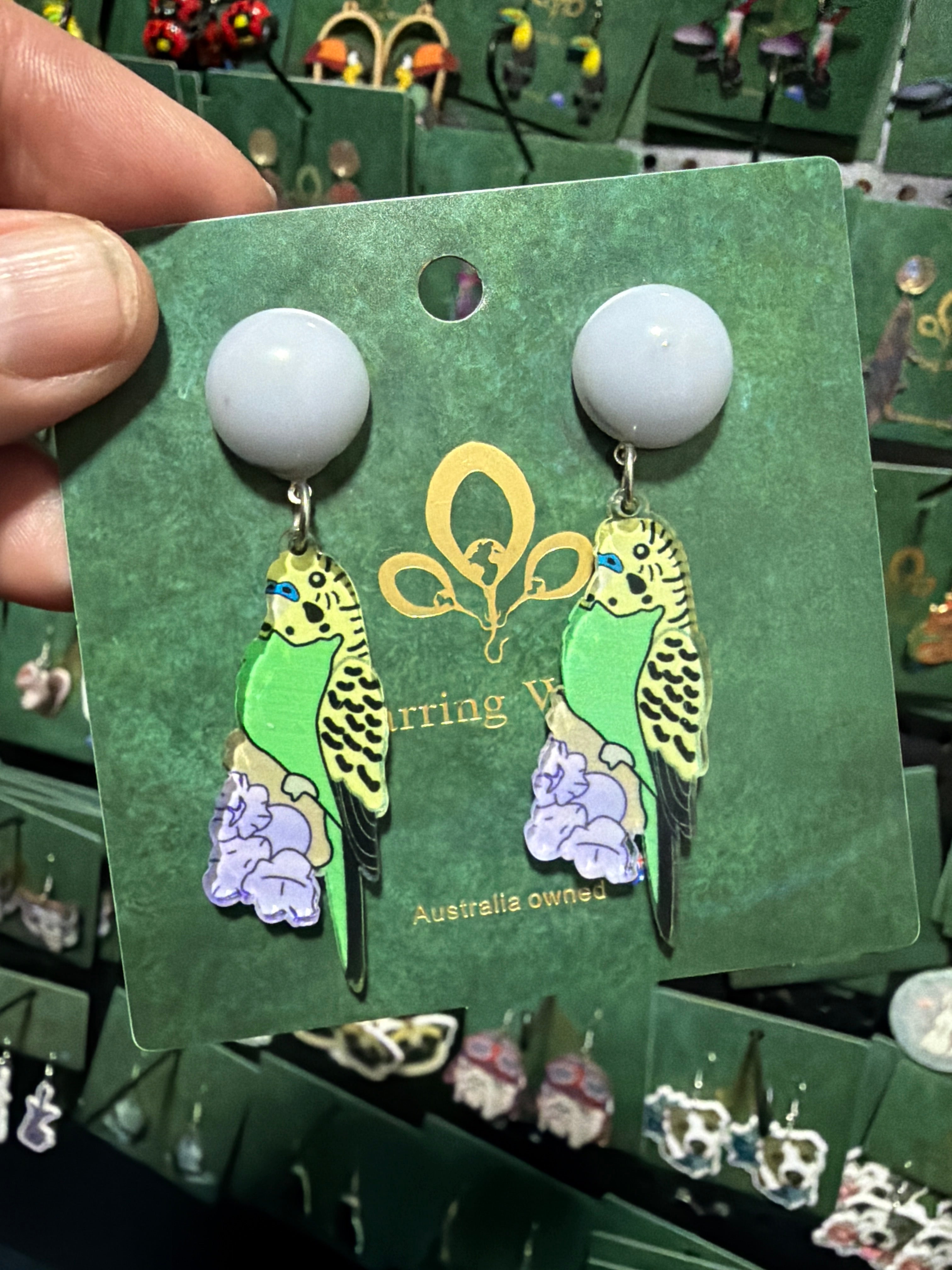 Stainless Steel Budgie Earrings Australia