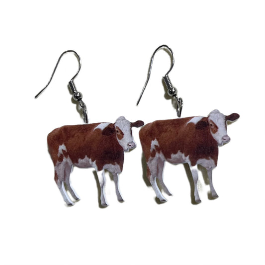Brown Cows