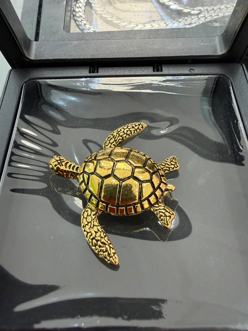 Turtle