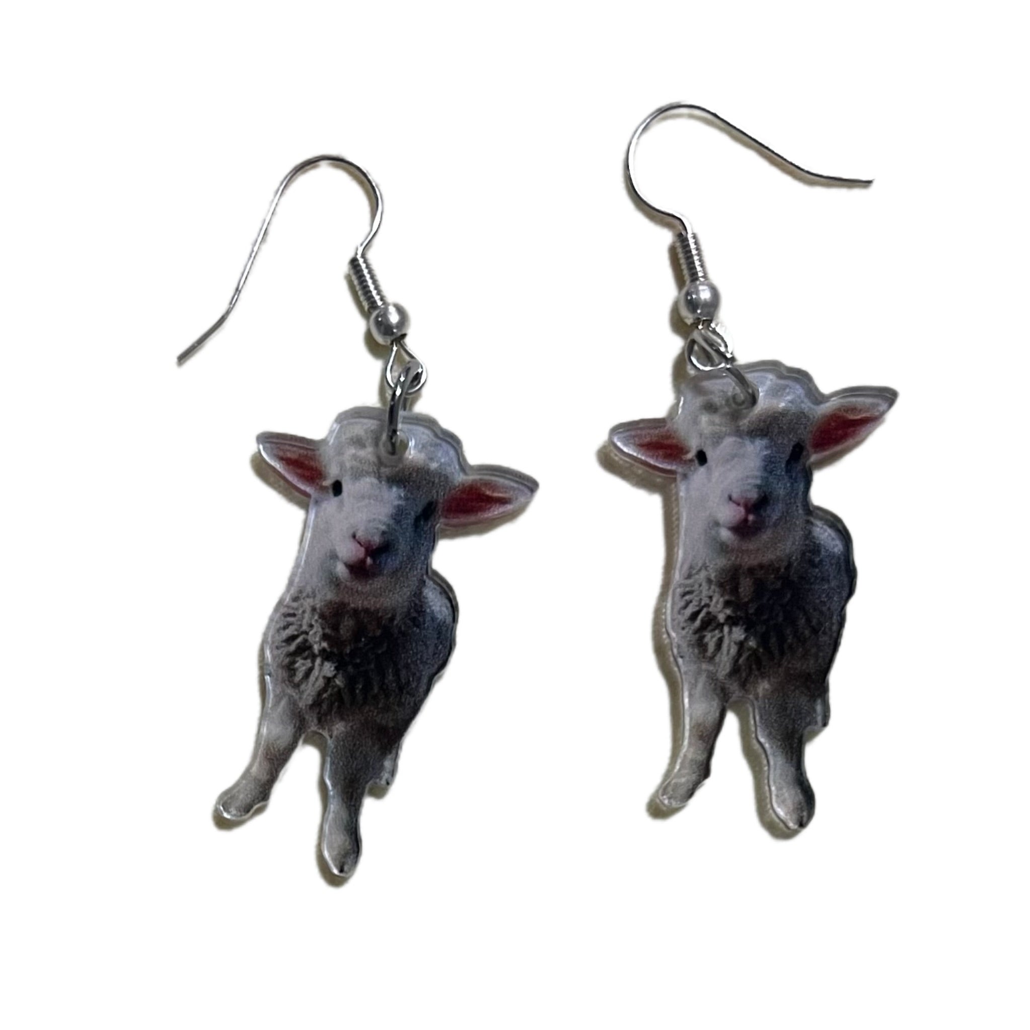 Sheep