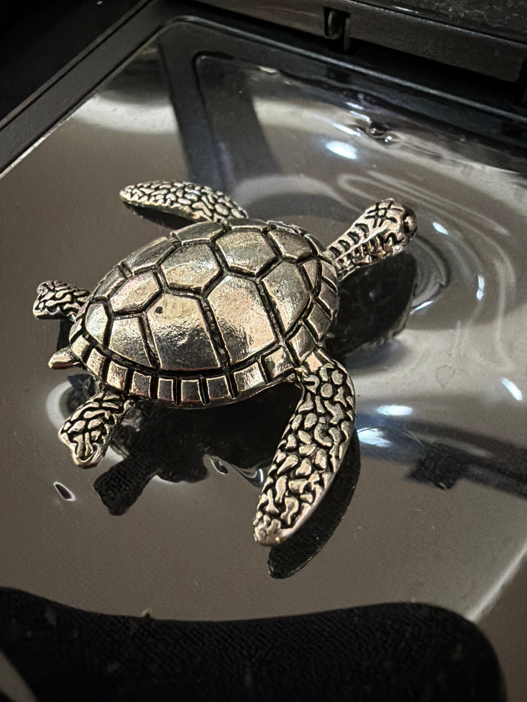 Turtle