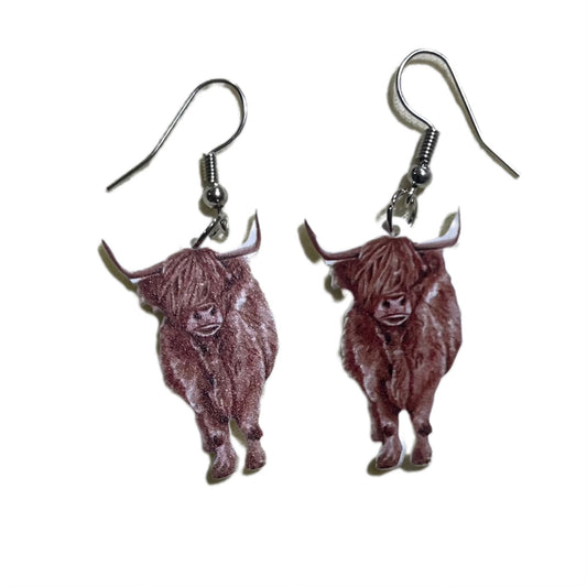 Highland cows