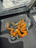 Dragons