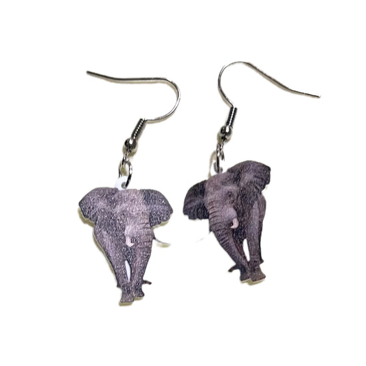 African Elephant